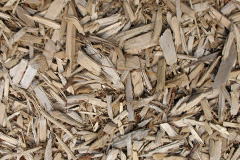 biomass boilers Carnlough